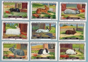 TC0115 Trade Cards: Chocolats Peter, Nestlè - Serie 48 Les Lapins 9/12 - Bild 1 von 1