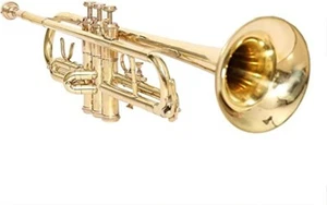 New Bb Piccolo Trumpet Nickel Finish For Beginner To Advance Brass Musical - Picture 1 of 5