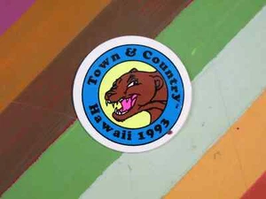 vtg 1990s Town & Country skateboard surf sticker Cougar circle small - Picture 1 of 1