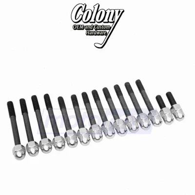 Colony Motor Case Stud Kit for 1974-1978 Harley Davidson FXE Super Glide - ie Foto 1 de 4