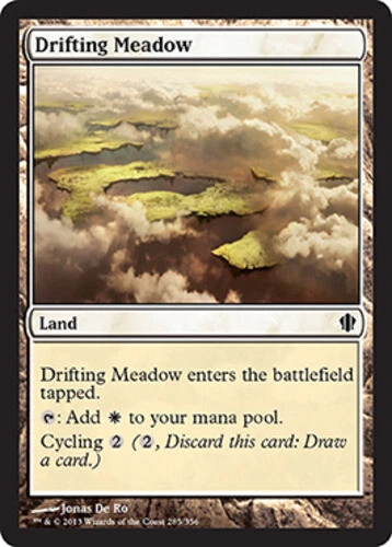 Drifting Meadow ~ Damaged Commander 2013 MTG Magic UltimateMTG Land Card - Image 1 of 1