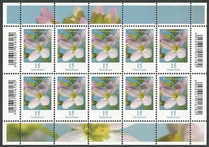 Hierba de espuma de prado 15 céntimos - hoja de diez con códigos EAN - nuevo - Mi.Nr. 3424 - Imagen 1 de 1