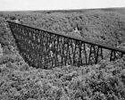 Erie Railroad Kinzua Viaduct Bridge Near Mt Jewett Pa 1971 View 8X10 Photo