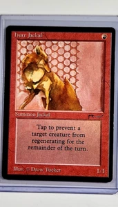 1993 MTG Magic the Gathering Arabian Nights Hurr Jackal Vintage Red WOTC LP - Picture 1 of 3