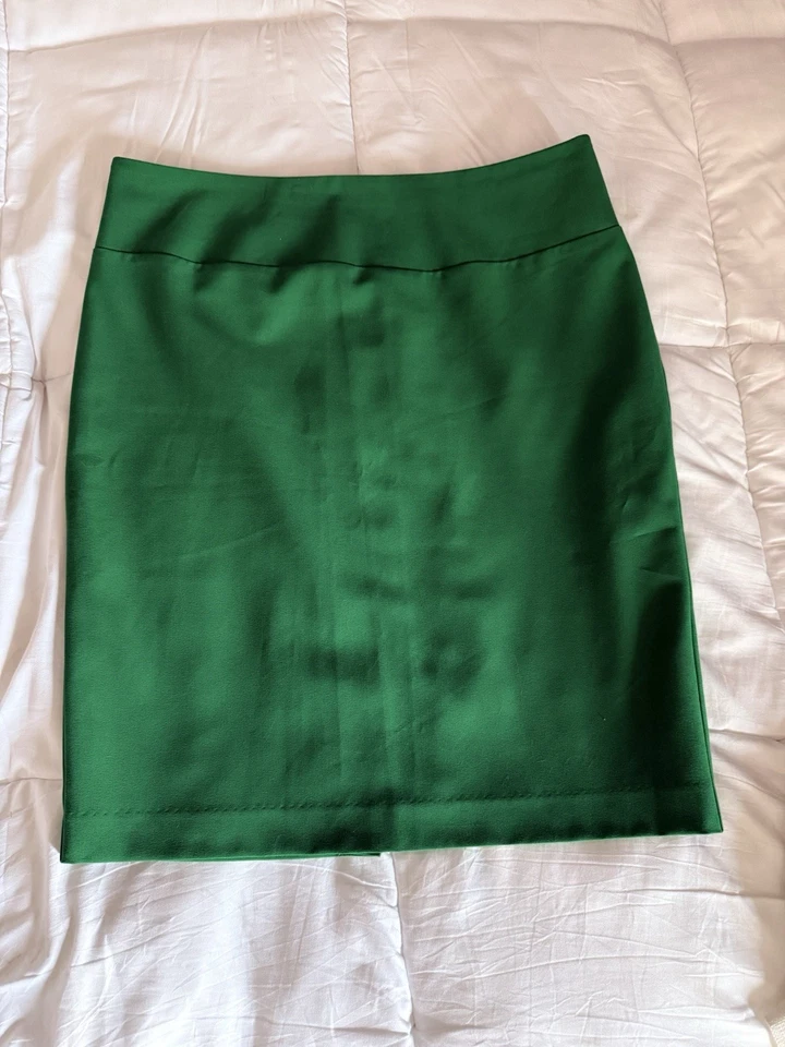 Falda lápiz forrada verde Ellen Tracy, talla 12 Foto 1 de 4