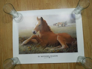 1998 IN MOTHER'S SHADOW, 30x23" EQUESTRIAN / HORSE POSTER SIGNED by JAMES CROW - Picture 1 of 16