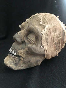 TESTA MUMMIFICATA REPLICA MUSEALE CRANIO STILE EGITTO TASSIDERMIA SCALA 1/1 - Foto 1 di 8