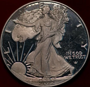 Uncirculated 2022-W West Point Mint American Silver Eagle Dollar - Picture 1 of 2