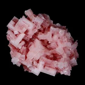 4,5" Qualität Rosa Halit Salz Kristalle Cluster Mineral Trona, CA Searles Lake - Bild 1 von 7