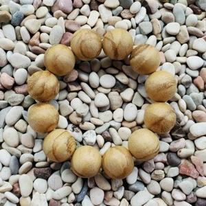 Bonita pulsera de madera de agar Papúa Aquilaria de 20 mm 12 gramos madera de aloe 12 cuentas #27 - Imagen 1 de 4