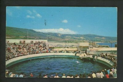 Tarjeta postal del parque de atracciones Marineland, California CA Juegos de marsopa espectáculo de acuario Foto 1 de 2