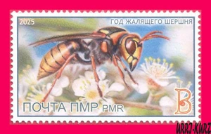 TRANSNISTRIA 2025 Fauna Insects Stinging Hornet Wasp Slavic Totemic Yearbook 1v - Picture 1 of 1