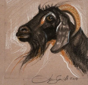 Jen Smith (b.1967), Billy Goat, Original Drawing, 2018 - Picture 1 of 8