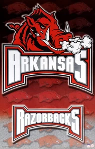 ARKANSAS RAZORBACKS Official NCAA Team Logo 22x34 POSTER - Picture 1 of 1