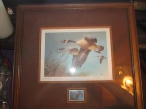1987 WISCONSIN Waterfowl Habitat Stamp AND Framed Limited Edition Print 296/300 - Picture 1 of 10