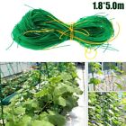 Effective Vine and Creeper Support Net Suitable for Greenhouse and Balcony