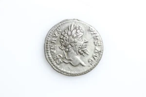 Septimius Severus * Denar * FVNDATOR PACIS - Zdjęcie 1 z 2