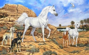 Limited Edition "Secrets Of The Bedouin" Arabian Horse Art Print By Roby Baer - Picture 1 of 2