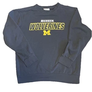 CHAMPION University of Michigan college sweatshirt size M - Picture 1 of 4