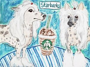 4 x 6 Art Print Chinese Crested Starbarks Dog Collectible Artist Ksams Starbucks