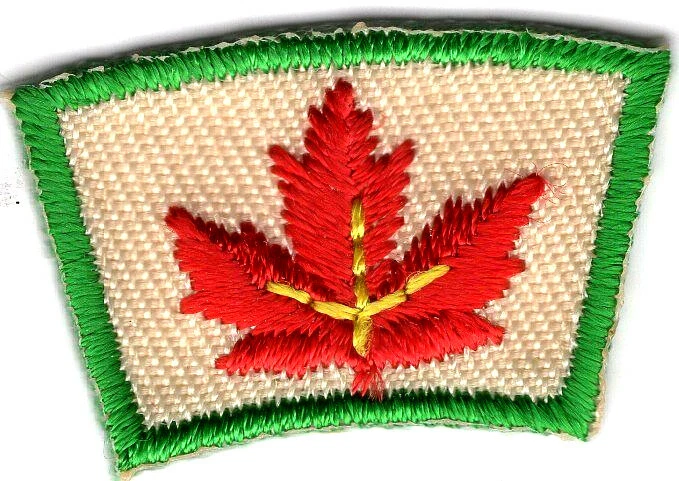 MAPLE LEAF SEGMENT Iron On Patch Small Scouts Boy Girl Cub Camping  - Image 1 of 1