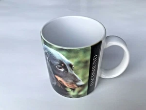 1 Vintage Coffee Cup Mug Dachshund Photo Barbara Augello Design 1994 Canine - Picture 1 of 3
