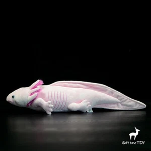 48 cm niedlicher Salamander Meeresbewohner Plüschtier Stofftier Kuscheltier Puppe - Bild 1 von 7