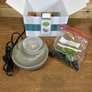 Scentsy Little Garden Element Wax Warmer Customizable Succulent Plant~Retired - Picture 1 of 4