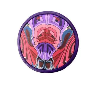 Purple and Pink Abstract, polymer cane brooch/pin with purple back and rim - Picture 1 of 2