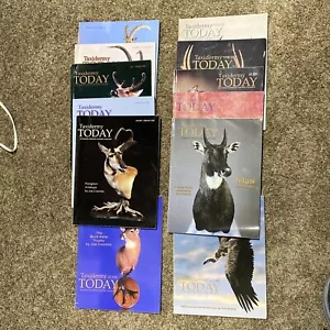 Taxidermy Today Magazine Lot 12 Issues Year 2000 & 2001 Full Years - Picture 1 of 11