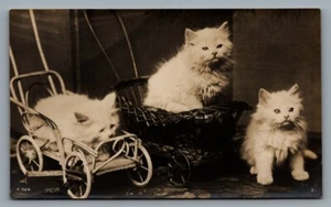 RPPC postcard by Rotary Photo 3 white kittens / cats in wheeled basket carts - Picture 1 of 2