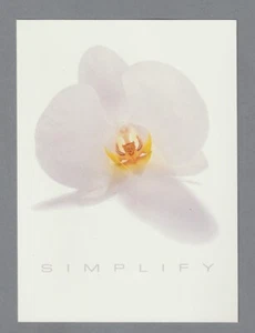 Carte format carte postale + patch - Simplify d'Alfred Sung recto verso - Picture 1 of 2