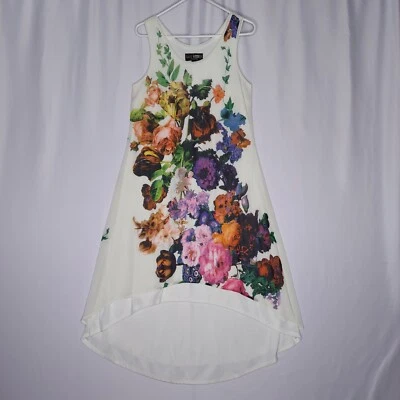 Marc Bouwer Dress Small Sleeveless Cream Multicolor Floral Lined Hilo Artsy - Image 1 of 4