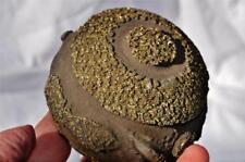 4092xx Healing Sparkling Golden Carved Pyrite Sphere Ball Concretion LARGE 3.8"