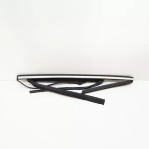 Volkswagen Tiguan 5N Tür hinten links obere Streifenverkleidung mit Gummi 5N0839431H 2014 - Bild 1 von 6