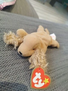 TY TEENIE BEANIE BABYS SPUNKY DER COCKER SPANIEL HUND PLÜSCHTIER IM RUHESTAND - Bild 1 von 4