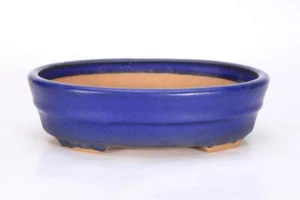 Japanischer Bonsai-Topf TOKONAME RURI blau glasiert ovale Form kleine Größe W19,5 cm - Bild 1 von 11
