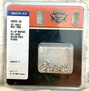 Harley-Davidson OEM Chrome 5/16 Allen Hole Plugs 94529-95 Pack Of 10 - Foto 1 di 3