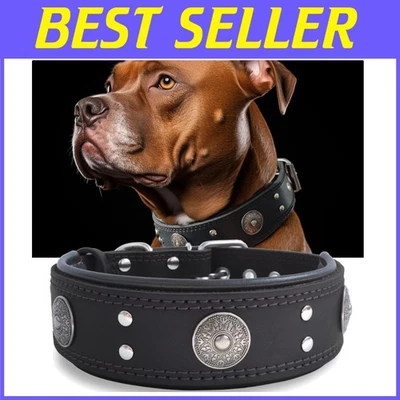 Heavy Duty Leather Collar with Stainless Steel Buckle - Image 1 of 4