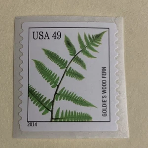 US #4851 MNH 2014 Goldies Wood Fern Dryopteris goldiana - Picture 1 of 1