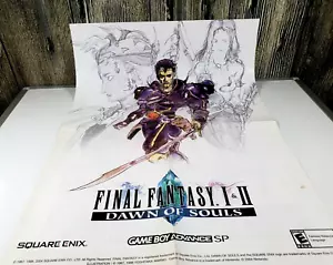 Game Boy Advance Final Fantasy I & II Retro Video Game Poster 21 x 15 Vtg - Picture 1 of 6