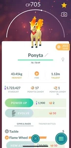 Candela Accessory Ponyta Pokémon Go - Picture 1 of 1