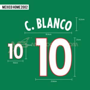 C.BLANCO #10 Mexico Home 2002-03 PRINT (PU MATERIAL) - Picture 1 of 5