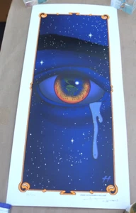 2007 EYE OF GAIA GLOBAL WARMING SIGNED JUSTIN HAMPTON POSTER ART 75/150 25x11" - Picture 1 of 8