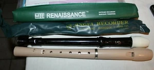 Lot Of 2 plastic Recorders Musical Instruments Used in cases - Picture 1 of 8