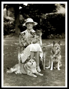 FINNISH SPITZ AND LADY OWNER LOVELY VINTAGE STYLE DOG PHOTO PRINT POSTER - Picture 1 of 1