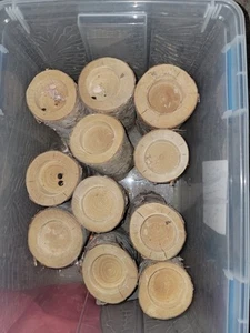 Juego de 17 candelabros de madera de abedul natural desgastado para fiestas - Imagen 1 de 4