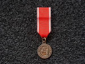 Miniaturorden Niedersachsen 2013 Fluthilfe Fluthelfer Hochwasser Orden Miniatur - Picture 1 of 2