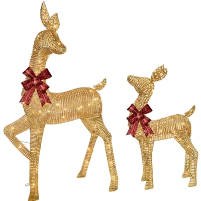 2-Piece Large Lighted Christmas Deer - HOYECHI Outdoor Yard Decoration Rattan Re - Image 1 of 4