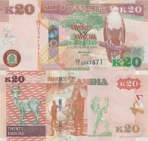 Zambia 20 Kwacha (2012) - Gazelle/Miners/p52a UNC - Picture 1 of 3